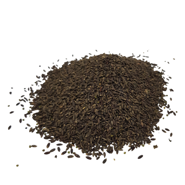 Iberischer Drachenkopf, Samen (Klausen)